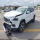 1C4PJMDN9KD177313 2019 Jeep Cherokee Limited auction photo thumbnail 6