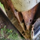 1FTPW14V79FB37472 2009 Ford F150 Xlt Supercrew auction photo thumbnail 7