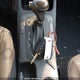 KNAFK5A86E5221454 2014 Kia Forte Ex auction photo thumbnail 11
