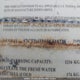 47CTD4T265G518228 2005 Dutchmen Other auction photo thumbnail 9
