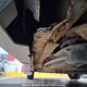 1G4HR54K05U251839 2005 Buick Le Sabre Limited auction photo thumbnail 8