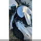 5J8TC2H85SL802119 2025 Acura Rdx Platinum Elite A-Spec auction photo thumbnail 6