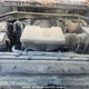 1GCPYCEFXKZ301377 2019 Chevrolet Silverado 1500 Custom Trail Cc auction photo thumbnail 10