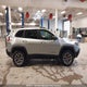 1C4PJMBX9LD544250 2020 Jeep Cherokee Trailhawk auction photo thumbnail 13