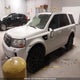 SALFR2BG6DH328853 2013 Land Rover Lr2 Hse auction photo thumbnail 2