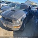 1ZVFT80NX55240756 2005 Ford Mustang auction photo thumbnail 2