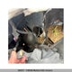 3GYFNDEY2BS521681 2011 Cadillac Srx V6 auction photo thumbnail 10