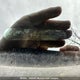 2CTFLSE52B6349418 2011 GMC Terrain Sle auction photo thumbnail 9