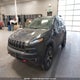 1C4PJMBS6GW141633 2016 Jeep Cherokee Trailhawk auction photo thumbnail 6