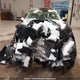 2HGFC2F52KH040600 2019 Honda Civic Lx auction photo thumbnail 6