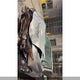 2HGFB2F47CH060630 2012 Honda Civic Lx auction photo thumbnail 10