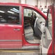 2D4RN4DEXAR173573 2010 Dodge Grand Caravan Se auction photo thumbnail 5