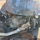 2HGFA16409H031590 2009 Honda Civic Ex auction photo thumbnail 9