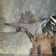 1ZVHT80N385144481 2008 Ford Mustang auction photo thumbnail 3