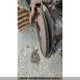 1ZVHT80N385144481 2008 Ford Mustang auction photo thumbnail 4