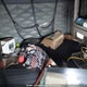 3AKJGLD64GSHE3507 2016 Freightliner Conventional auction photo thumbnail 5