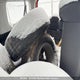 5J6YH28563L801651 2003 Honda Element Ex auction photo thumbnail 8