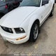 1ZVFT84N365253828 2006 Ford Mustang auction photo thumbnail 2