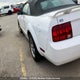 1ZVFT84N365253828 2006 Ford Mustang auction photo thumbnail 5
