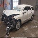 KM8R5DHE3LU113482 2020 Hyundai Palisade Luxury auction photo thumbnail 2
