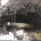 1G1ZE5ST4GF263623 2016 Chevrolet Malibu Lt auction photo thumbnail 9