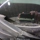 5J6RE48718L819251 2008 Honda Cr-V Ex-L auction photo thumbnail 2