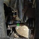 1FAHP3F22CL376314 2012 Ford Focus Se auction photo thumbnail 8