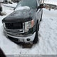 1FTFW1EF9DFA82759 2013 Ford F-Series auction photo thumbnail 2