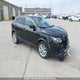 JN1BJ1CR3KW324147 2019 Nissan Qashqai S auction photo thumbnail 1