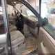 1D4GP25E67B229732 2007 Dodge Caravan auction photo thumbnail 5