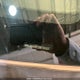 KNAHH8C88B7341407 2011 Kia Rondo Ex auction photo thumbnail 8