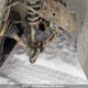 1D7RW3GP1BS638667 2011 Dodge Dakota Sxt V8 Crew Cab auction photo thumbnail 6