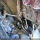 2HGFA16419H115627 2009 Honda Civic Dx auction photo thumbnail 4