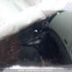 1G1PG5S91B7133985 2011 Chevrolet Cruze Lt Turbo auction photo thumbnail 5