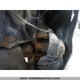 2C3CDXBG2DH601811 2013 Dodge Charger Sxt auction photo thumbnail 10