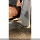 JH4CU25489C802606 2009 Acura Tsx auction photo thumbnail 8
