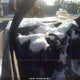 5N1AT2MV5HC841430 2017 Nissan Rogue Sv/Sl auction photo thumbnail 7