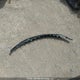 KMHCT4AE1GU971433 2016 Hyundai Accent Se auction photo thumbnail 12
