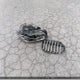 WBXHT3C3XG5E51196 2016 BMW X1 auction photo thumbnail 12