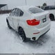 5UXFG4C53AL225936 2010 BMW X6 auction photo thumbnail 3