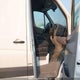 WD3BE8DDXGP213930 2016 Mercedes-Benz Sprinter S auction photo thumbnail 5