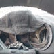 2D4RN5DG7BR765683 2011 Dodge Grand Caravan Crew auction photo thumbnail 7