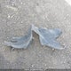 KMHD84LF8KU775879 2019 Hyundai Elantra Sel/Value/Limited auction photo thumbnail 20
