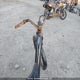 WSBC002037590T 2024 Como Electric Bike auction photo thumbnail 5