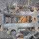 JY4AM14W7CC002696 2012 Yamaha Yfm700 R/Se auction photo thumbnail 10