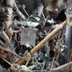 3HTJGTKT3GN712144 2016 Caterpillar Ct660 auction photo thumbnail 10