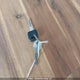 1UJBJ0AGXB17D0086 2011 Jayco auction photo thumbnail 11