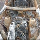 4JGDA5GB6HA947449 2017 Mercedes-Benz Gle 400 4Matic auction photo thumbnail 10