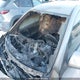 JM1BL1HF3A1306782 2010 Mazda 3 I auction photo thumbnail 16