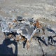 SN1FJE8PXNC229942 2022 Polaris Titan 800 Adventure auction photo thumbnail 12